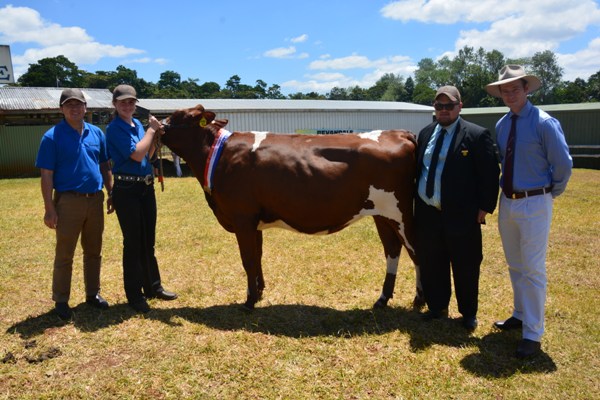 2014 ATICC All Breeds Calf Day Sup Champ lr