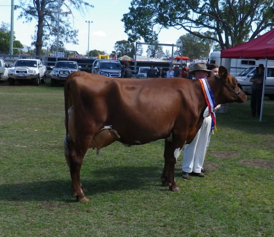 2014 Beaudesert Champ-Cheralyn Moira 38