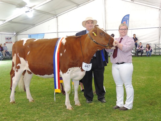Adelaide 2014 Judge Anthony Norman with Emily Miegel and her Juvenile Champion Miegily Duchess lr