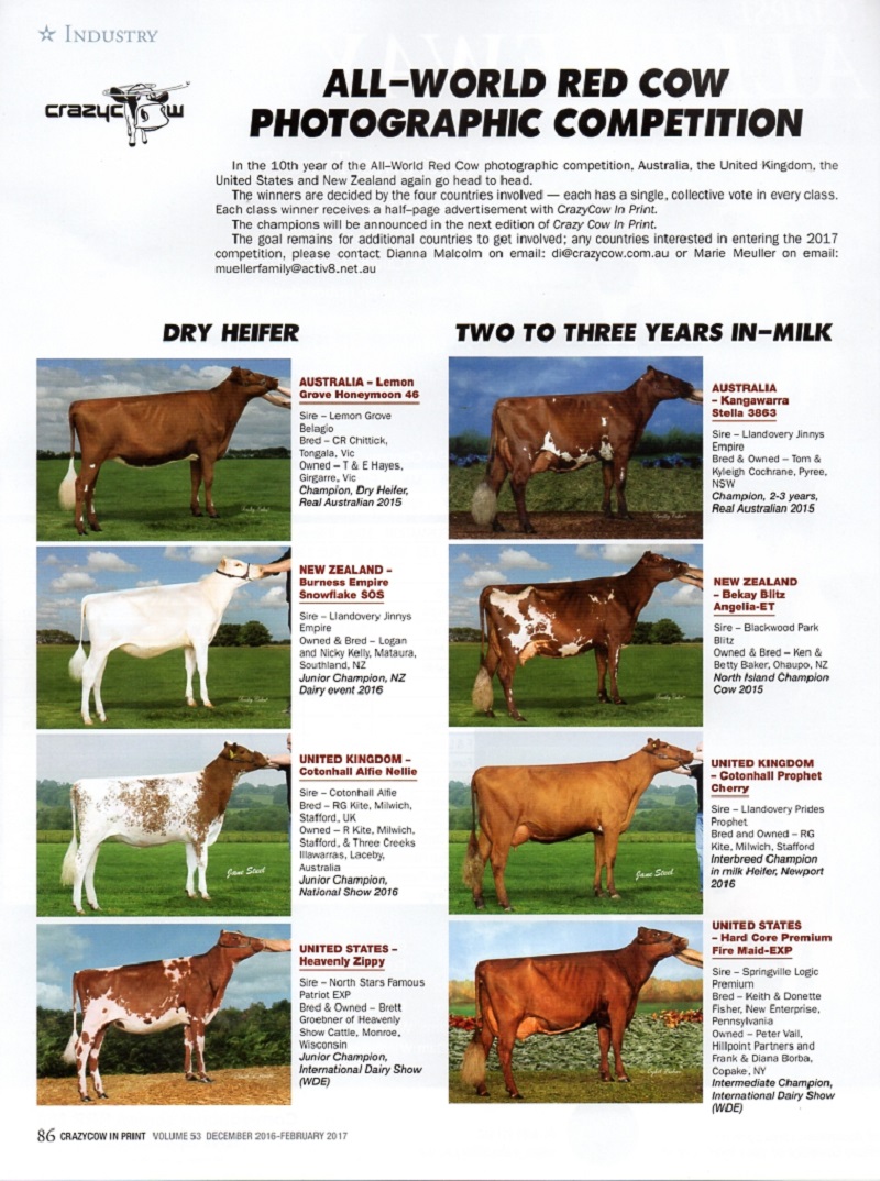All World Red Cow Photo Comp 2015