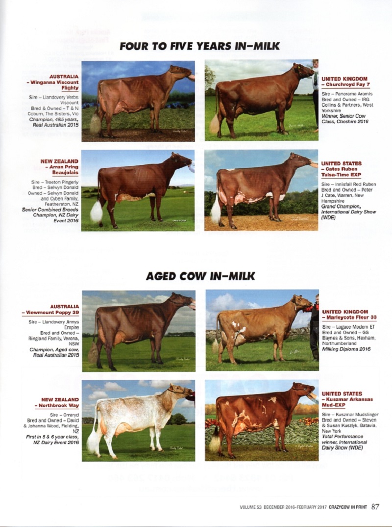 All World Red Cow Photo Comp 2015 2