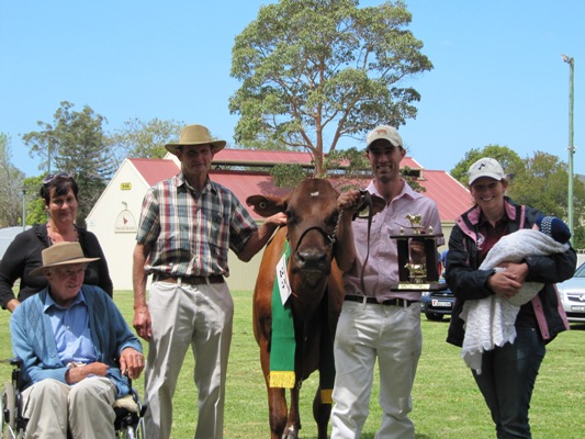 Illawarra Spring Fair 2012 Champion Cow Presentation