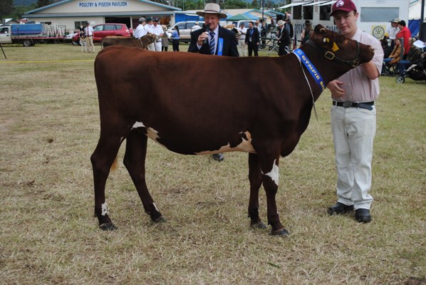 Gym Show 2013 Juvenile Champ