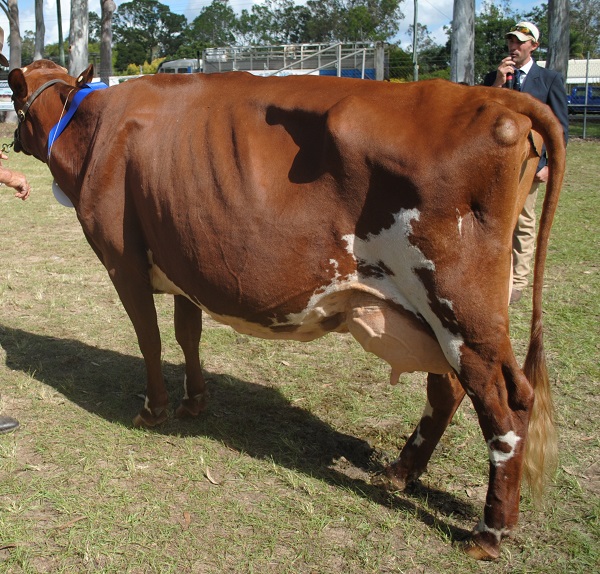 Gympie 19 Class 13