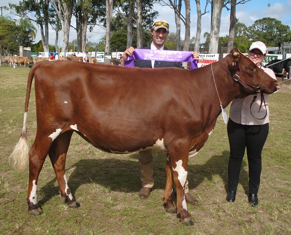 Gympie 19 Juvenile Champ