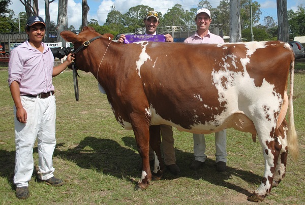 Gympie 19 Senior Champion