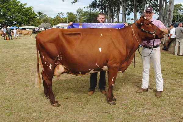 Gympie 2018 Snr Champion Cow