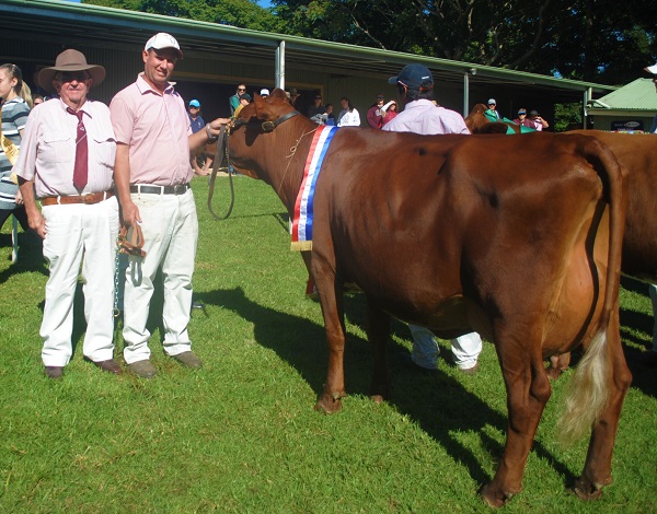 Maleny 19 Champ Junior