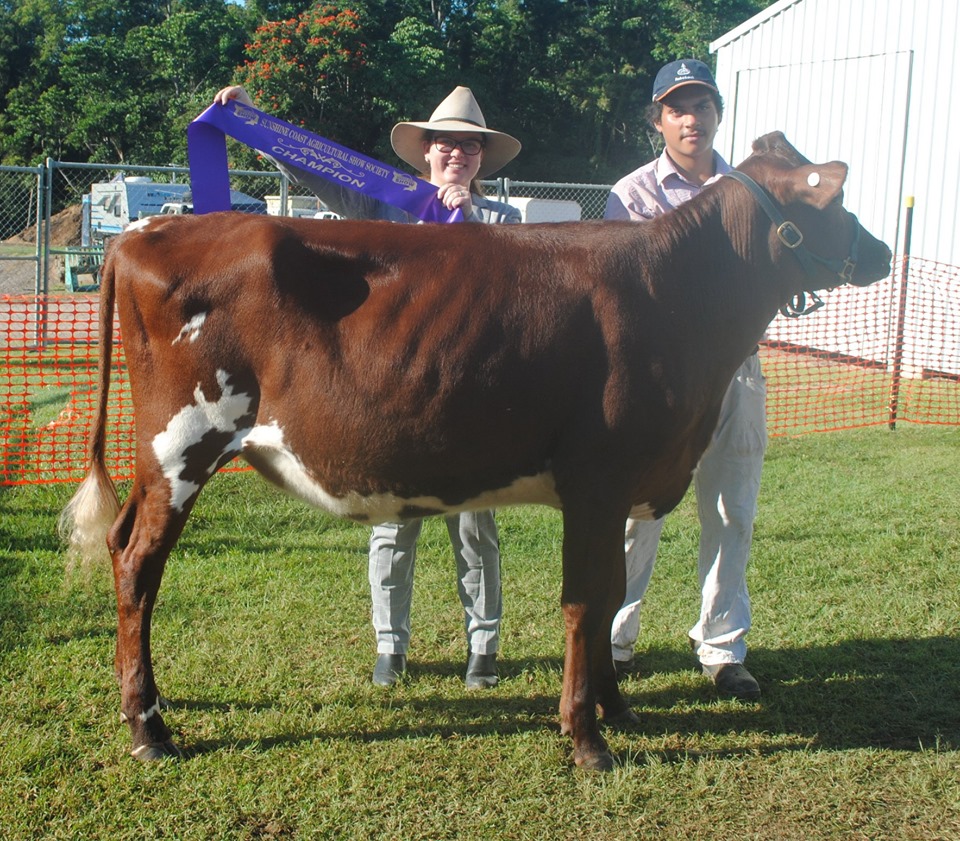 Nambour 19 Juvenile Champ