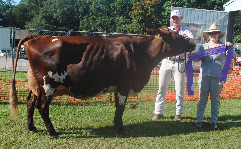 Nambour 19 Senior Champ