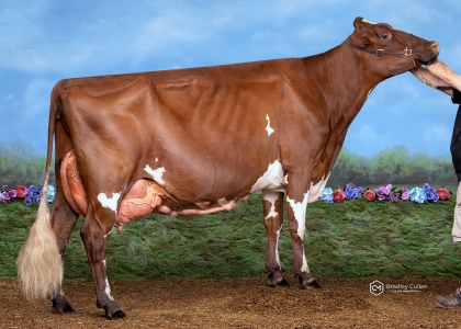 2020 IDW Champion Cow, Champion Udder