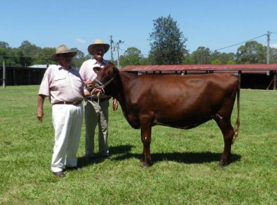 2013 Supreme Illawarra