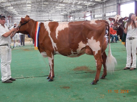 2014 Shepparton Champion