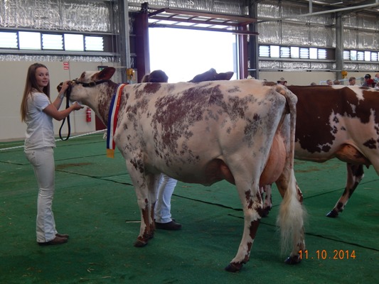 2014 Shepparton Inter Champ