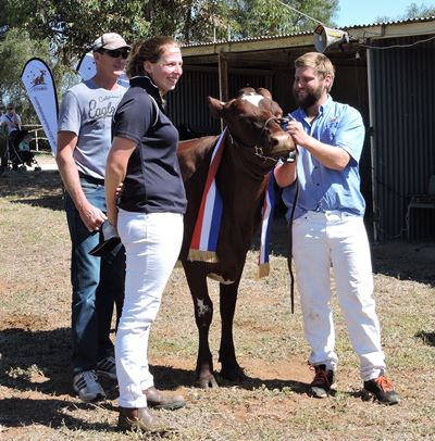 20150926 132412 DSCN2471 shrunk for website all breeds jnr ch Glenbrook Venus 30 Caitlin Liebich Ben Hentschke