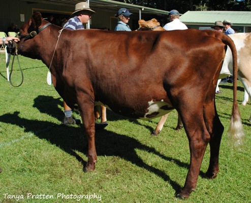 2015 Maleny Sup Juvenile lr
