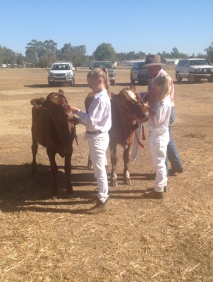 2015 Vic Calf Day Junior Handler 1st and 2nd Charlotte annd Sophie Strong R L