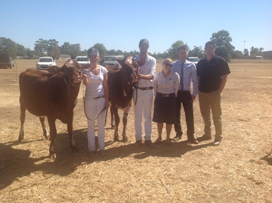 2015 Vic Calf Day Senior Champion Reserve Senior Champion with Judge and National Australia Bank Representatives