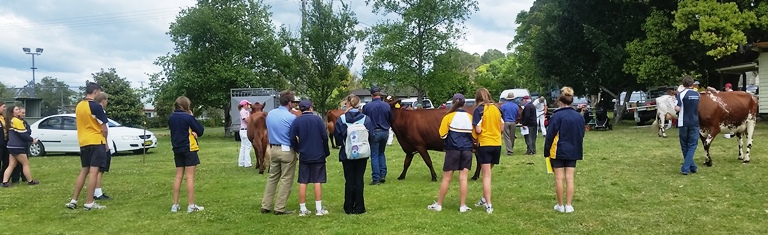 20161020 103738 shrunk for website St Johns School Nowra judging comp