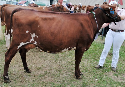 2016 Gatton Champion Intermediate