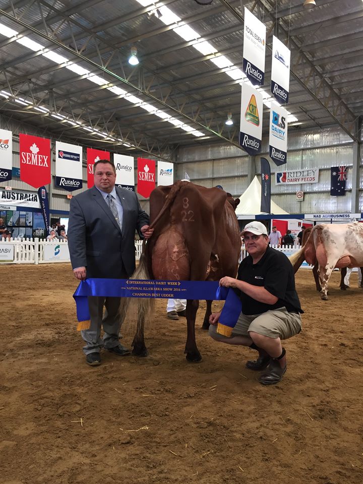 2016 IDW Snr Best Udder Llandoverly Ja Bob Stella Hayes Family
