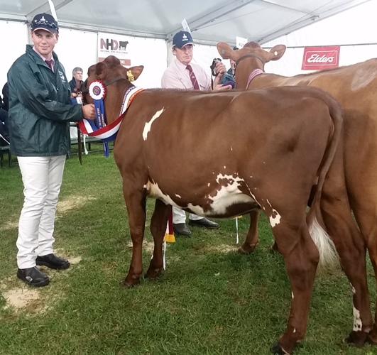 20170904 140800 Juv Champ G Sylvie 12 resized for website