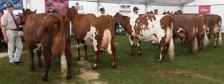 20170904 162724 resized for website Snr best udder