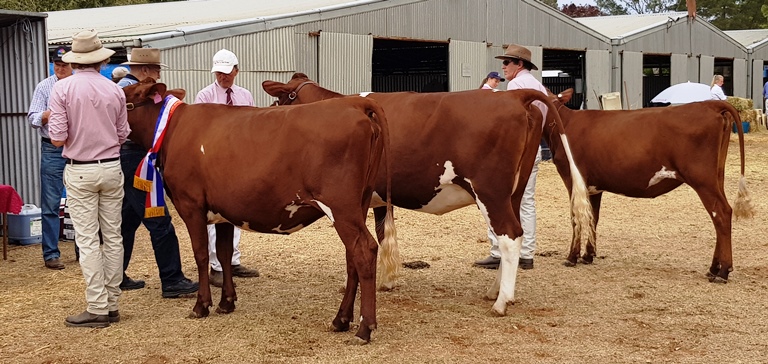 20180317 104015 Juvenile Champ resized for website