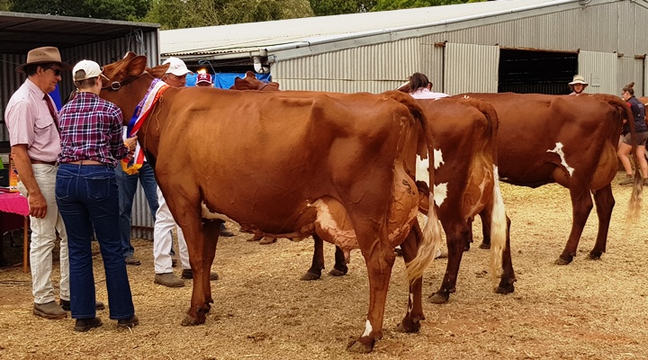 20180317 121948 Senior Champ resized for website