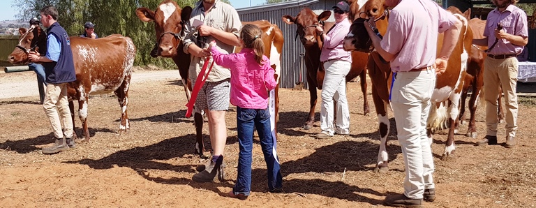 20180922 111229 red ribbon for best dressed handler