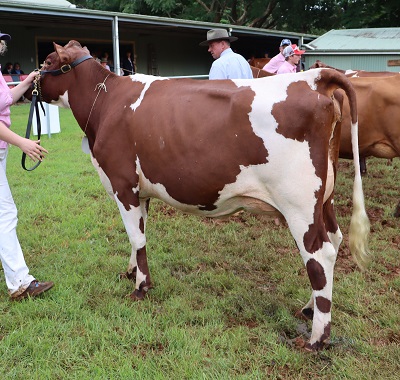2022 Maleny Class 6