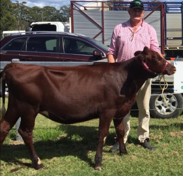 Reserve Senior Champion Waraba Cindy 12 owned by Lindsay Family