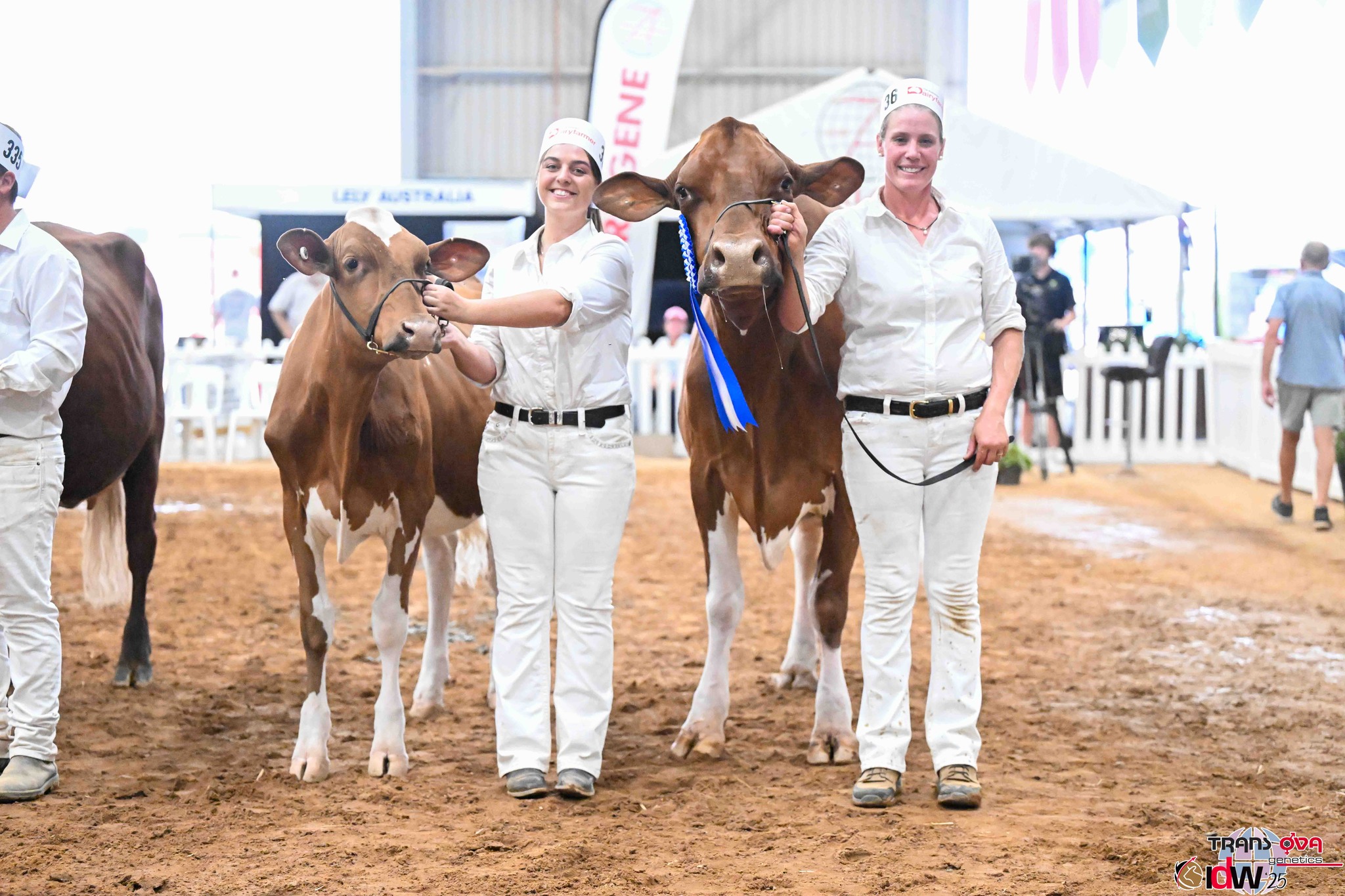 DamS Progeny Or Two Daughters From Brad Jessica Gavenlock