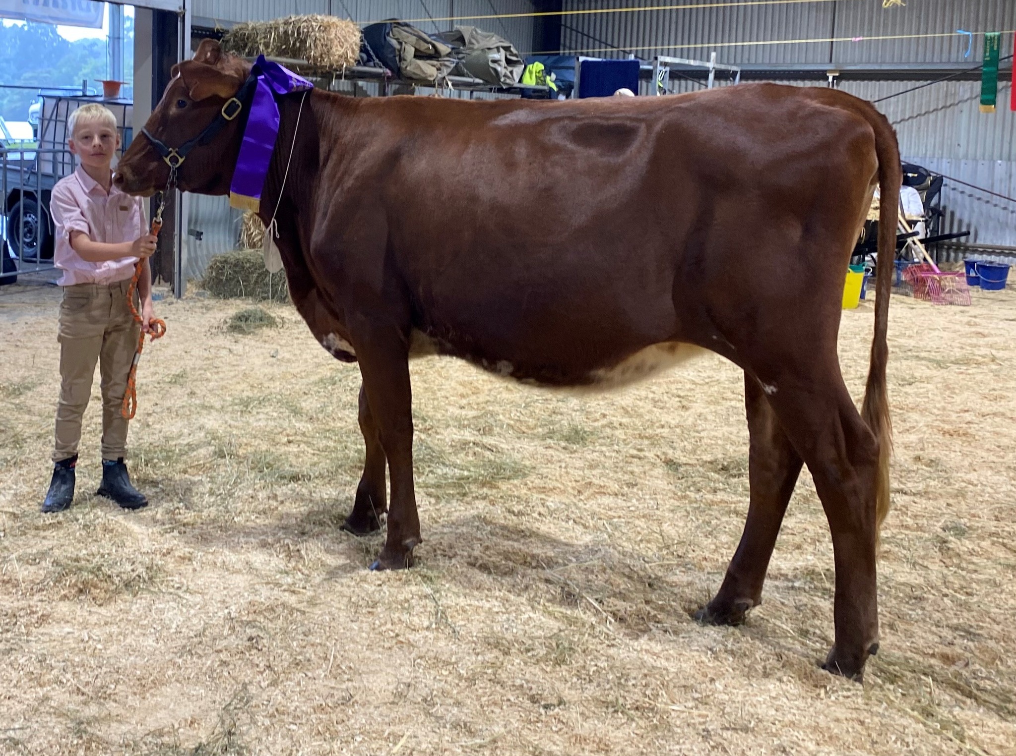Champion Juvenile Supreme Champion Juvenile Riverwood Lady Jean 456