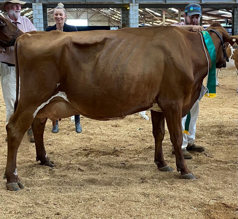 TS Reserve Champion Cow   Myall Savard Hellen   C  M Vonhoff   SUPREME RESERVE COW