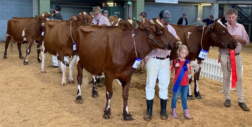 TS Pen Of Three Cows 1st M G Henry