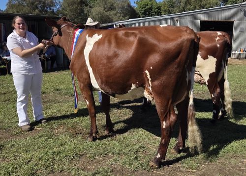 20260321 111455 for website shrunk