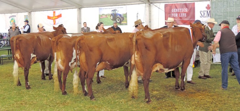 Adelaide 2014 Senior Champion IL  JA Mueller Glenbrook Venus 19 lr