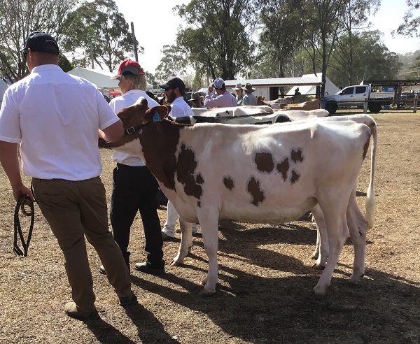 Beaudesert 19 Supreme jnr