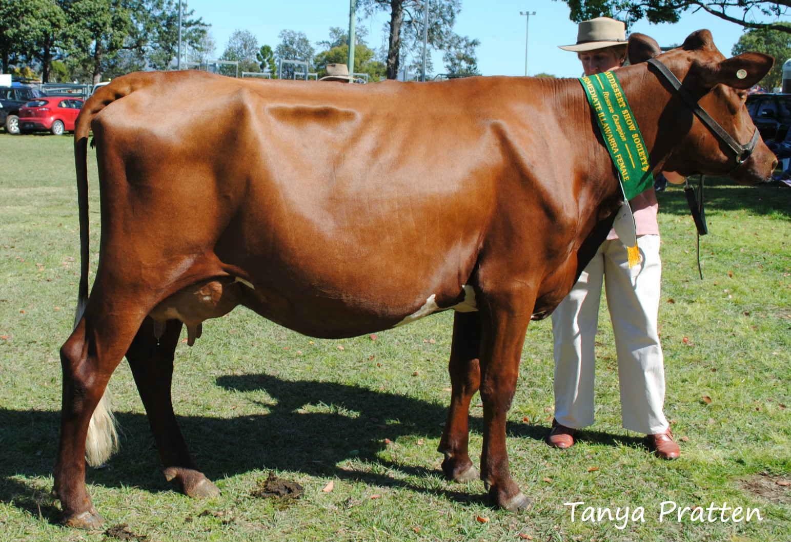 Beaudesert 15 Res Champ Inter