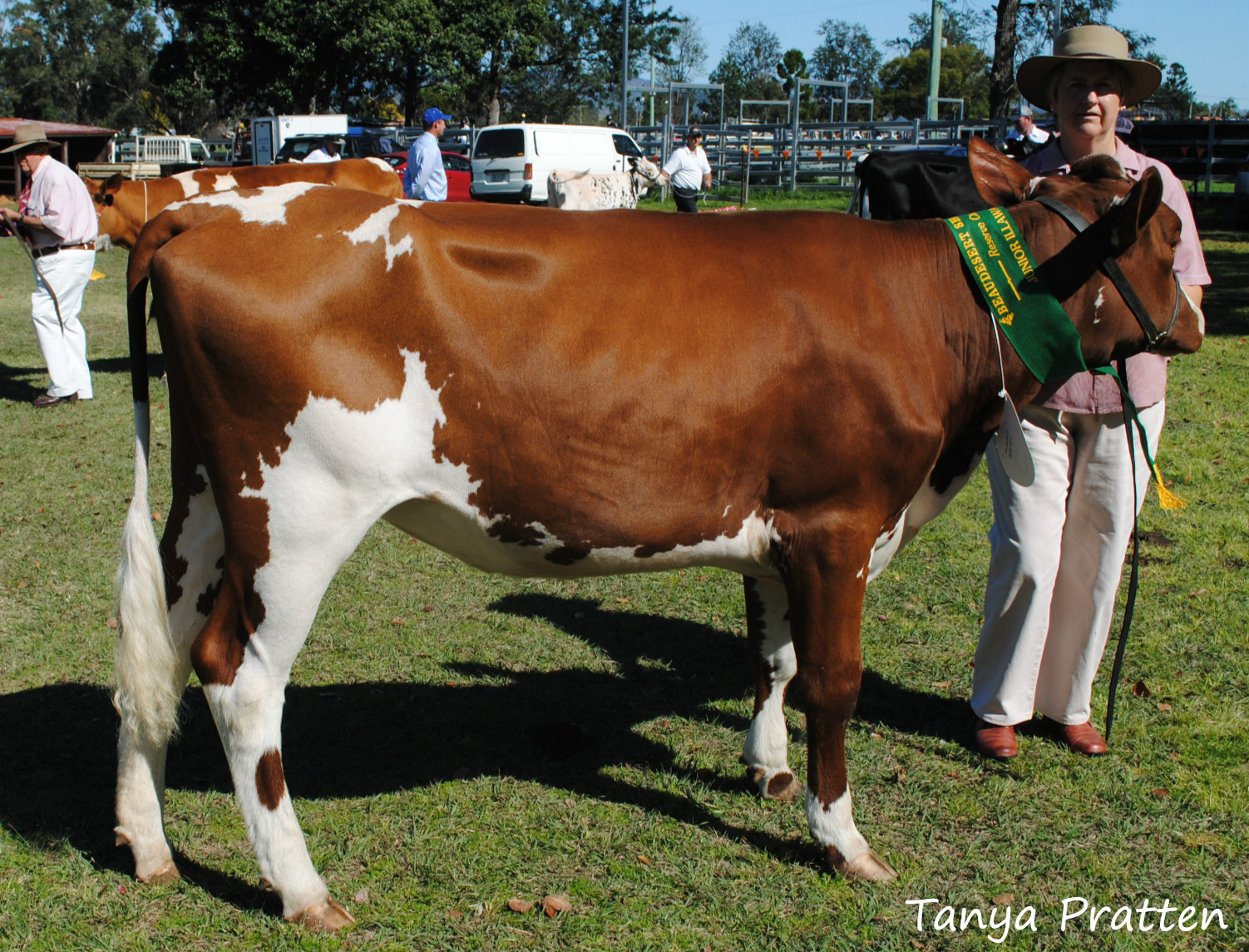 Beaudesert 15 Res Champ Jnr