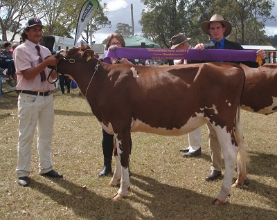 Beaudesert 18 Jnr Champ