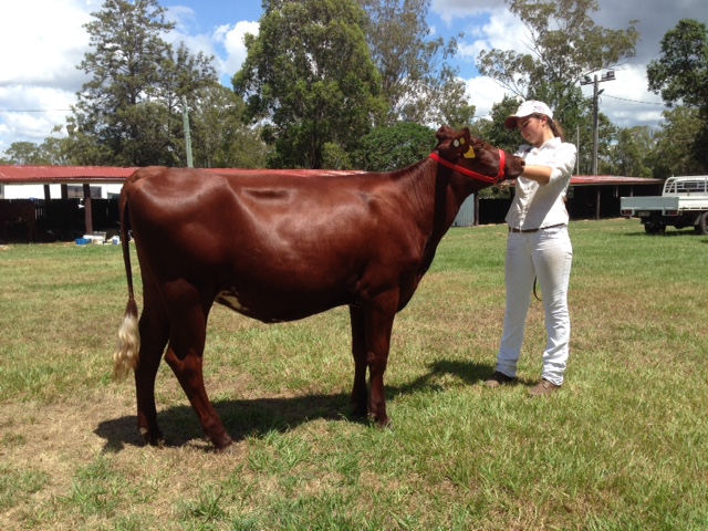 Beaudesert 2017 Senior Champ