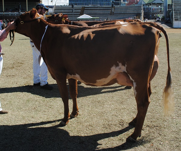Bris 2018 Class 8