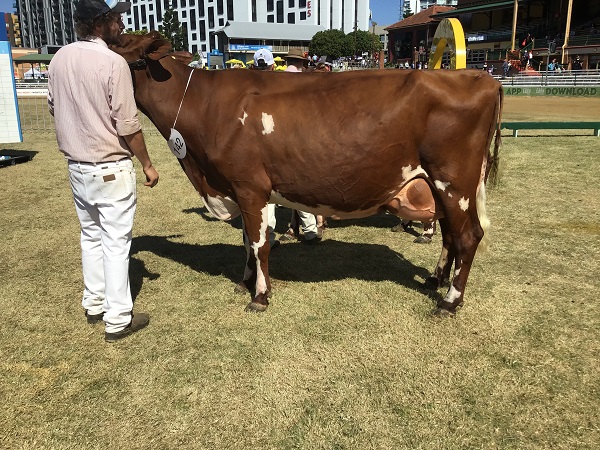 Ekka 19 Class 10