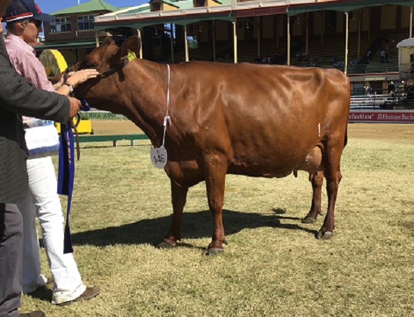 Ekka 19 Class 11