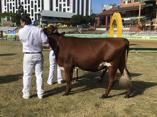 Ekka 19 Class 2