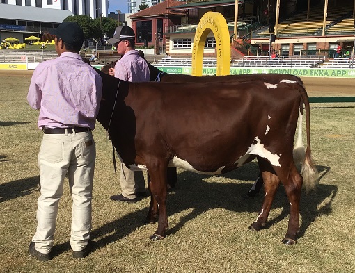 Ekka 19 Class 3