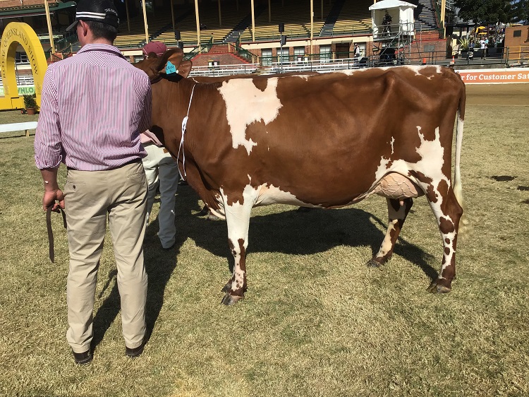 Ekka 19 Class 5