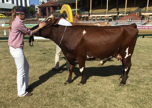 Ekka 19 Class 6